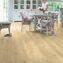 Quickstep Blos Base Alpha Vinyl