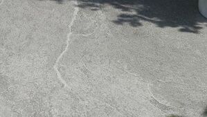 opoczno portland slate 