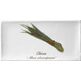 Fabresa, Artisan, FABRESA ARTISAN HERB MIX DEKOR 10X20 
