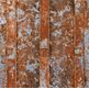 Peronda, Unique, PERONDA OXIK TACO 19.5X19.5 (25372) 