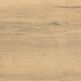 Atem, Forest, ATEM FOREST YLM GRES REKTYFIKOWANY 60X60X2 