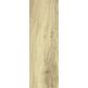 Paradyż (Classica), Greatwood, PARADYŻ GREATWOOD CREMA STRUKTURA MAT GRES 20X60 