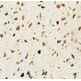 Mediterranea, Terrazzo, MEDITERRANEA TERRAZZO MULTICOLOR GRES REKTYFIKOWANY 60X60 