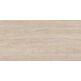 Vives, Paris, VIVES PARIS-R NATURAL R11 GRES REKTYFIKOWANY 60X120X2 