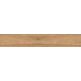 Nuevo, Corson, NUEVO CORSON GOLD GRES REKTYFIKOWANY 20X120 