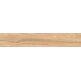 Nuevo, Corson, NUEVO CORSON LIGHT GRES REKTYFIKOWANY 20X120 