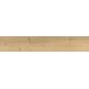 Atem, Forest, ATEM FOREST YLM GRES REKTYFIKOWANY 19.5X120 