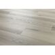 Arbiton, Woodric Eir, ARBITON WOODRIC EIR DĄB BALTIMORE PANEL WINYLOWY 22.9X122 (CWS202) 