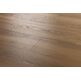 Arbiton, Woodric Eir, ARBITON WOODRIC EIR DĄB DALLAS PANEL WINYLOWY 22.9X122 (CWS211) 