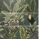 ape ceramica abc toucan green set(3) dekor 40x120 