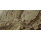ape ceramica rex brown gres poler rektyfikowany 60x120 