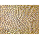 dune brunei mozaika szklana 29x29 (186554) 