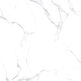netto white marble gres poler rektyfikowany 60x60 