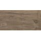 stargres porto brown gres 31x62 