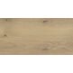 stargres taiga beige gres 31x62 