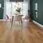 Designflooring Rubens Gluedown