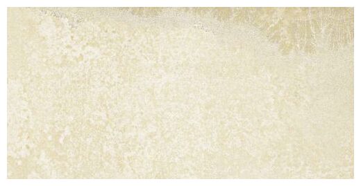 aparici bavaria ivory gres rektyfikowany 49.75x99.55x2 - zdjęcie główne