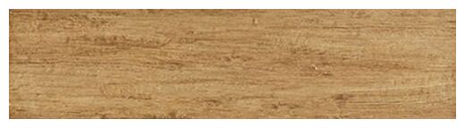 aparici branch oak gres natural 24.9x100 - zdjęcie główne