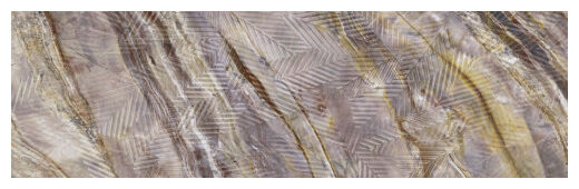 aparici vivid red louise floret płytka ścienna 29.75x99.55 - zdjęcie główne