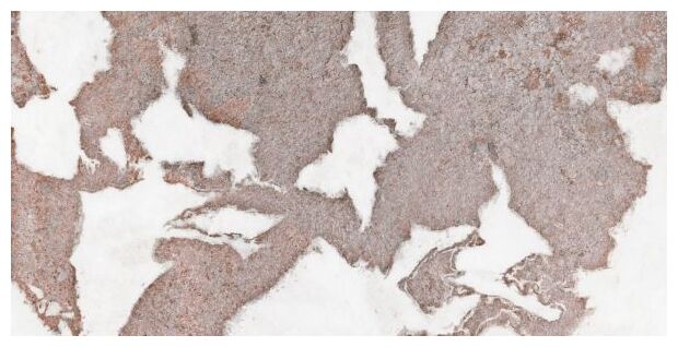 aparici wonder rosso gres rektyfikowany 49.75x99.55 - zdjęcie główne