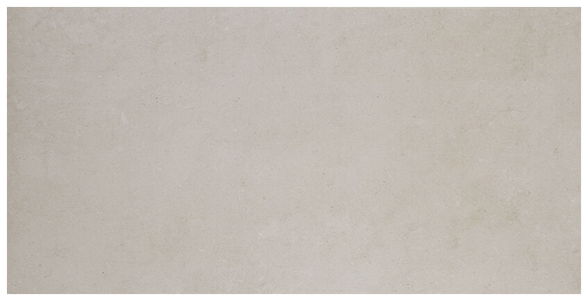 aparici isen grey natural gres 50x100 - zdjęcie główne