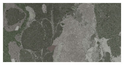 aparici lithops hopi stamp natural gres rektyfikowany 49.75x99.55 - zdjęcie główne