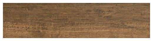 aparici branch teak gres natural 24.9x100 - zdjęcie główne