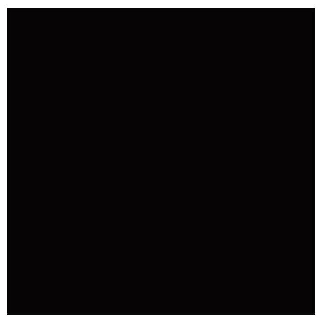 aparici neutral negro gres rektyfikowany 29.75x29.75 