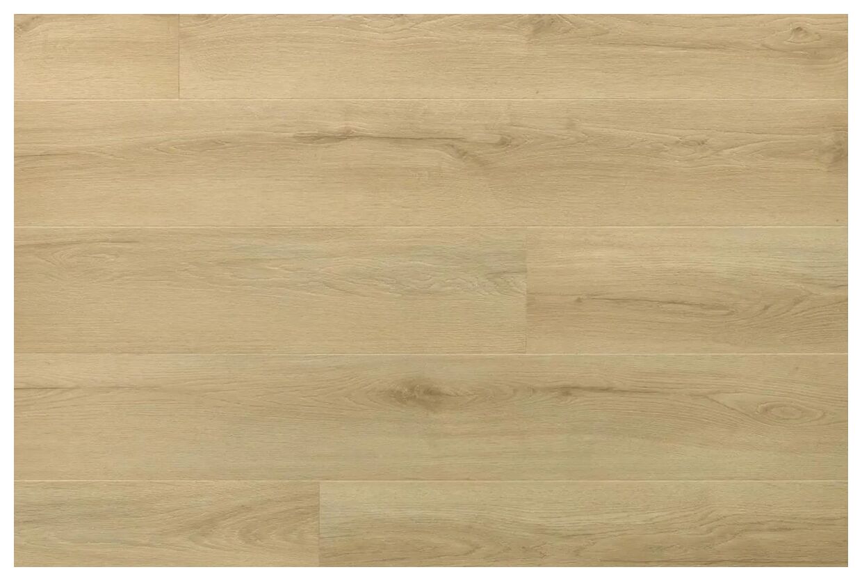 Arbiton Amaron Dryback Dąb Princeton panel winylowy 23.6x151.8