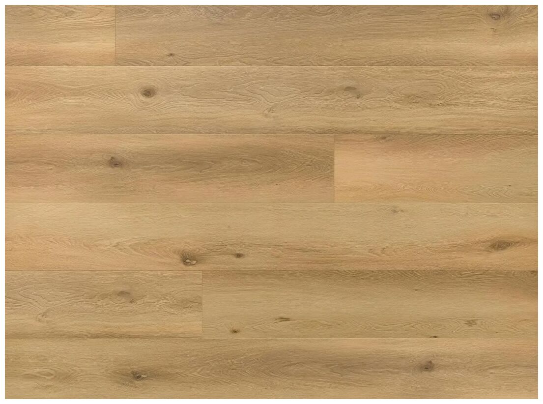 Arbiton Amaron Superiore EIR Dąb Asturia panel winylowy 22.9x218