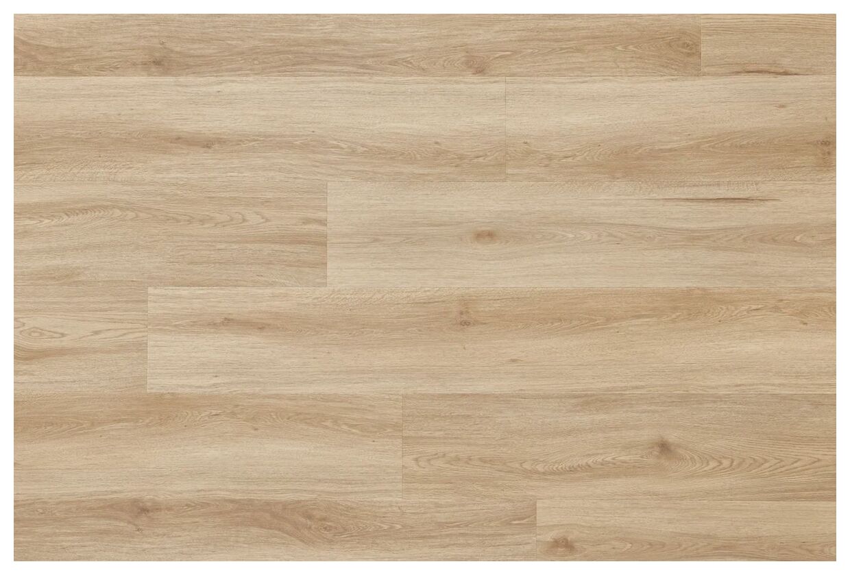 Jasny panel winylowy Amaron Wood Acoustic Dab Harlow z delikatnymi słojami i nielicznymi sękami