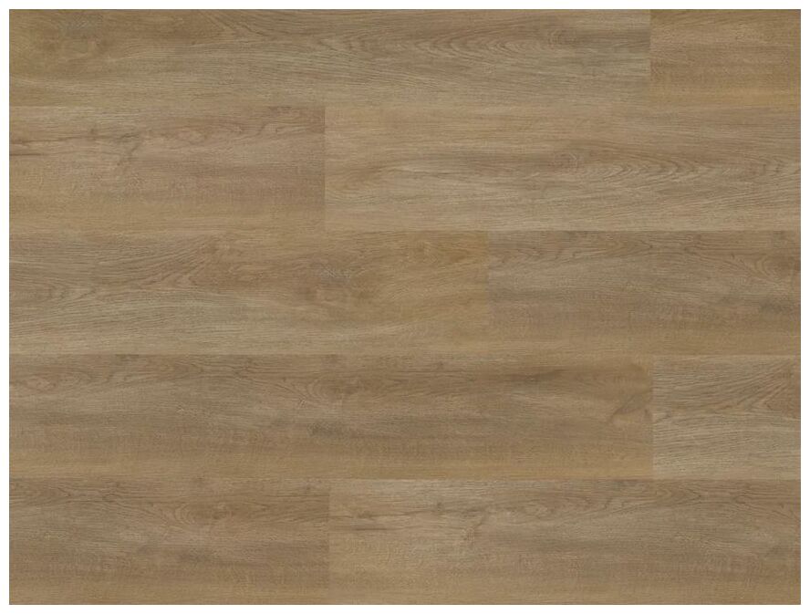 Amaron Wood Acoustic Dab Sierra panel winylowy z widocznymi słojami w matowym wykończeniu