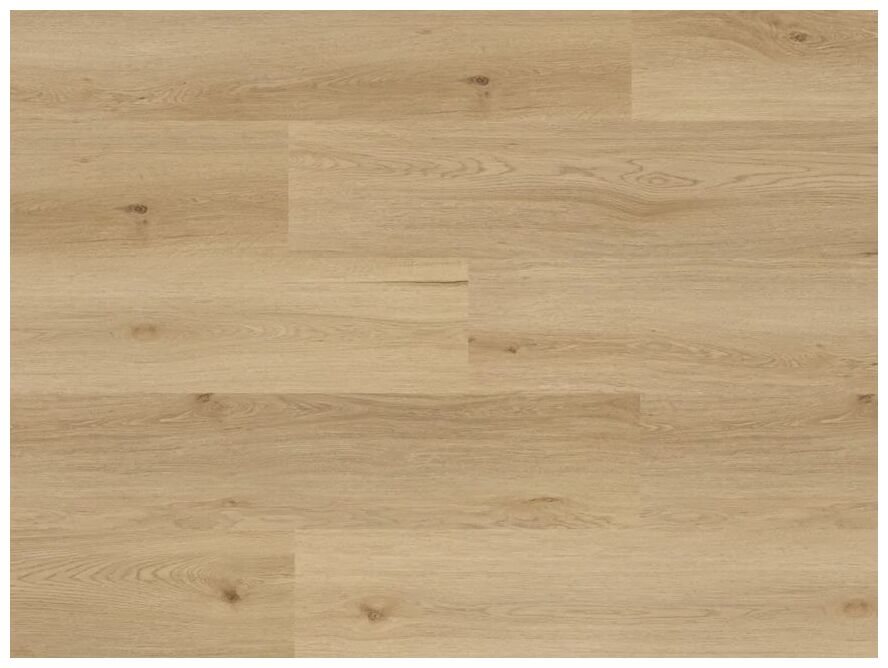 Jasny panel winylowy Amaron Wood Acoustic Dab Yankee z wyraźnymi słojami i matową strukturą