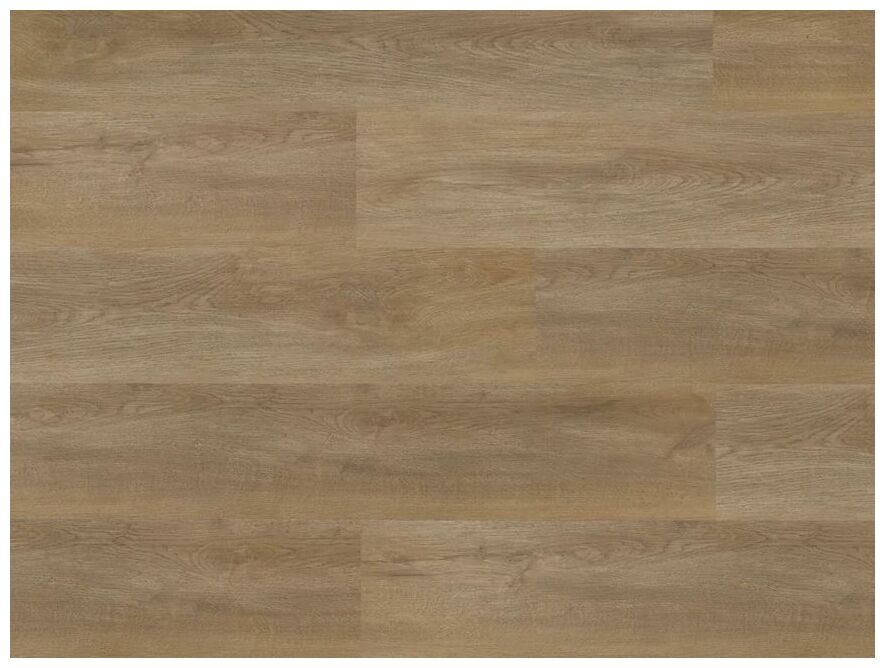 Amaron Wood Dab Sierra panel winylowy o jasnobrązowym odcieniu i delikatnej teksturze