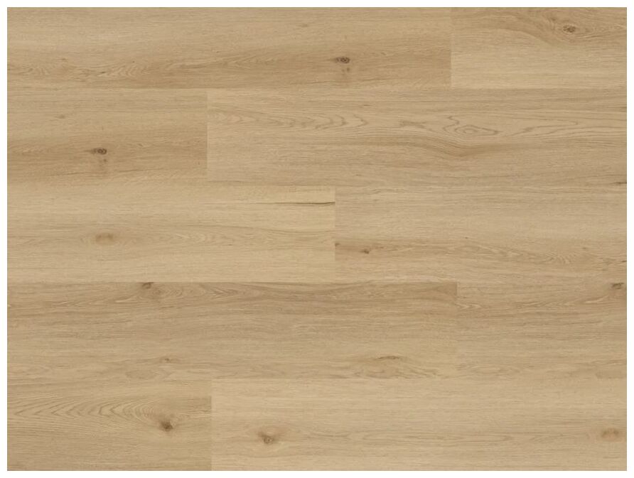 Jasny panel winylowy Amaron Wood Dab Yankee z widocznymi słojami i matową fakturą