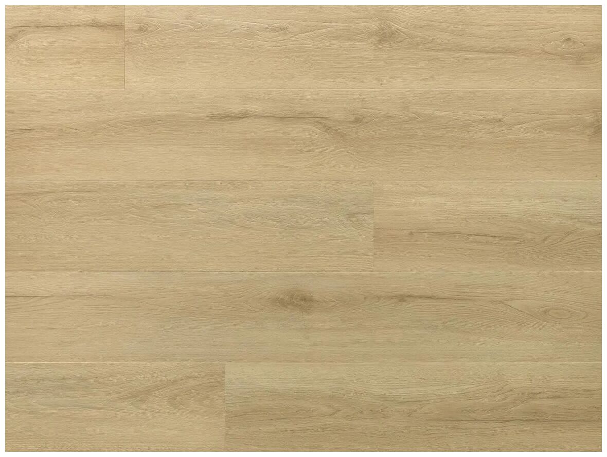 Jasny panel winylowy Amaron Wood EIR Acoustic Dab Princeton z wyraźnymi słojami i sękami