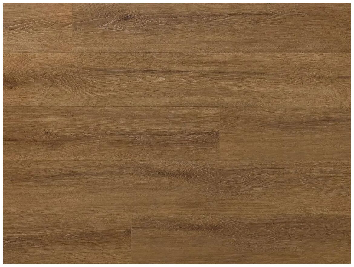 Panel winylowy Amaron Wood EIR Acoustic Dab Rochester w ciepłym brązie dębu z widocznymi słojami