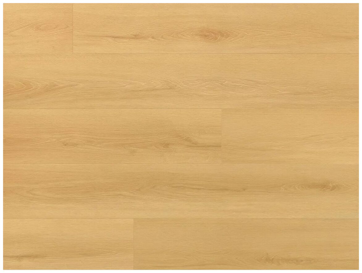 Jasny panel winylowy Amaron Wood EIR Acoustic Dab Virgin z widocznym rysunkiem słojów