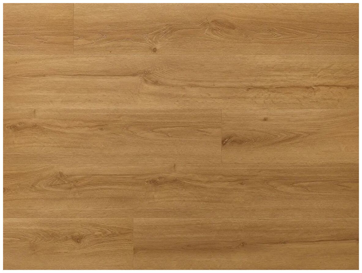 Arbiton Amaron Wood EIR Dąb Cornel panel winylowy 22.9x151.1