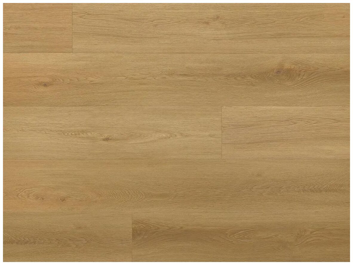 Jasnobrązowe panele winylowe Amaron Wood EIR Dab Menor z widocznym usłojeniem i sękami