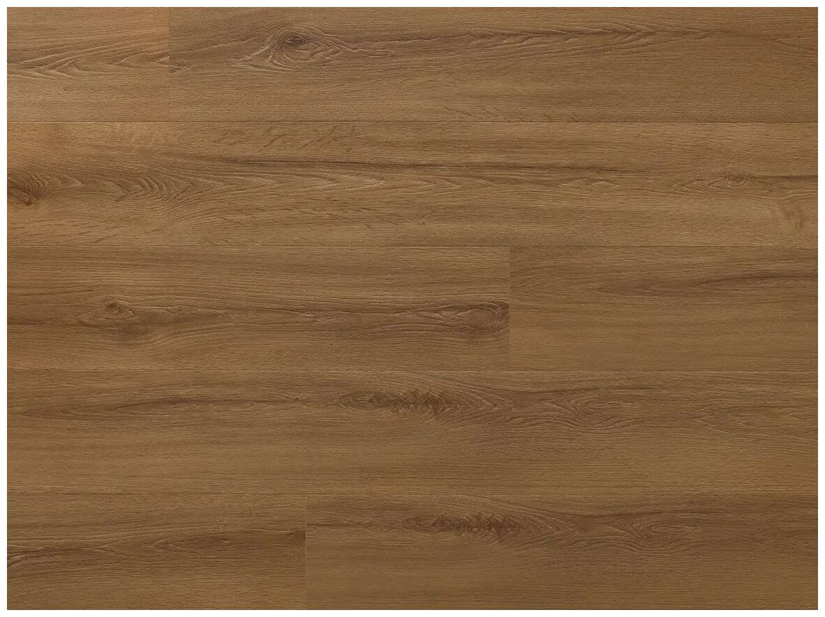 Amaron Wood EIR Dab Rochester panel winylowy z widocznymi słojami i ciepłym brązowym odcieniem