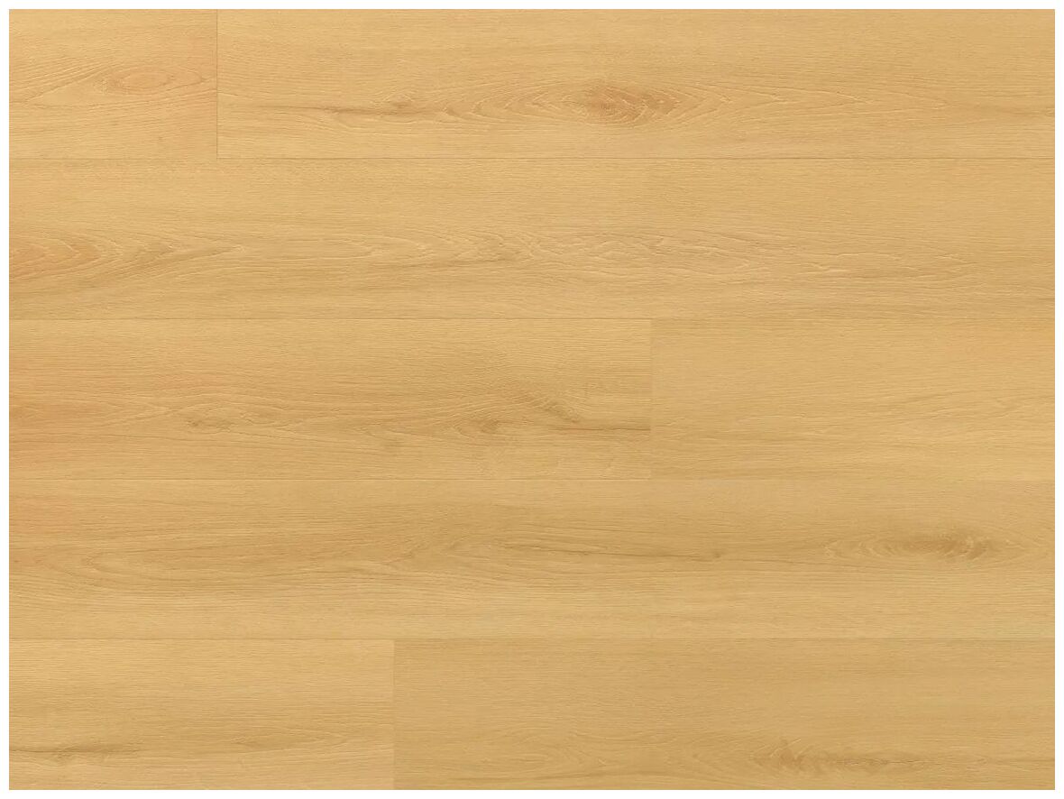 Arbiton Amaron Wood EIR Dąb Virgin panel winylowy 22.9x151.1