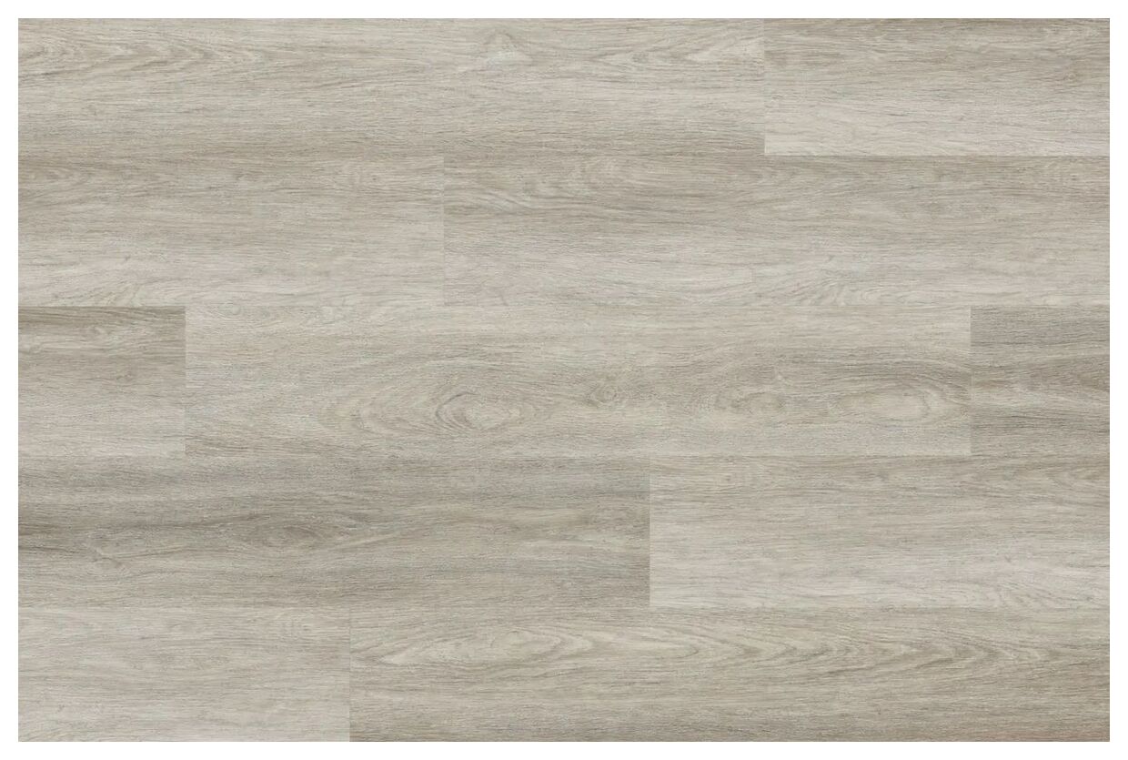Jasnoszary panel winylowy Woodric Acoustic Dab Peterson z subtelnym rysunkiem słojów dębowych