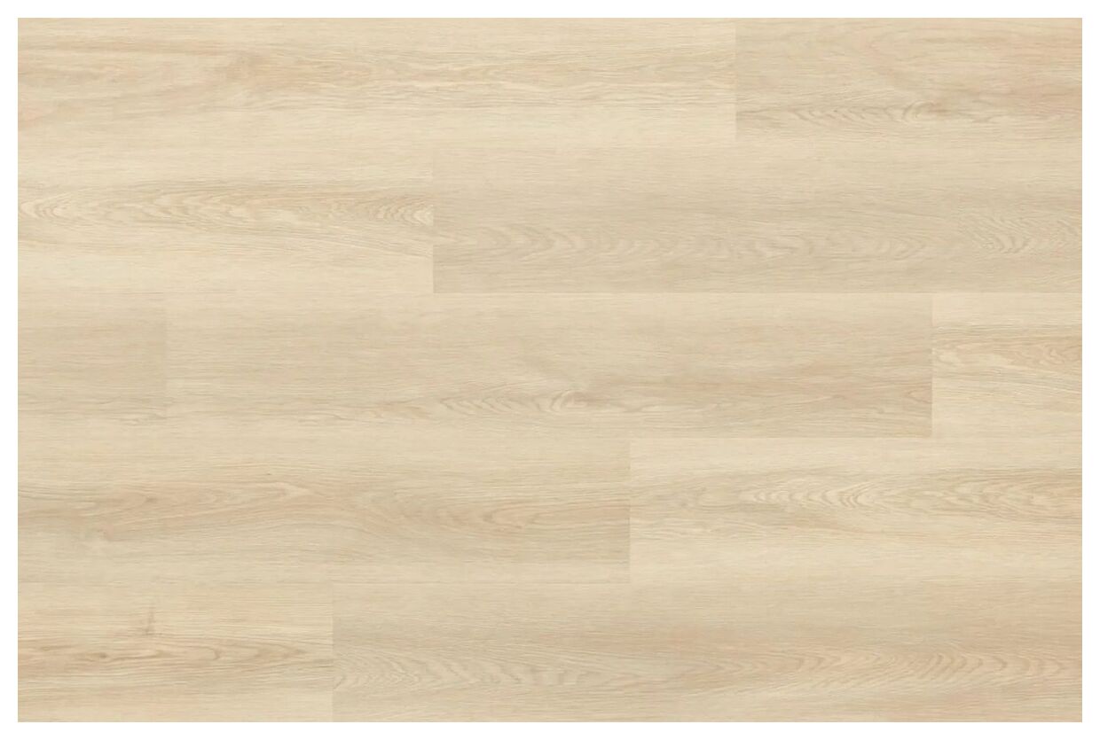 Jasny panel winylowy Woodric Acoustic Dab Roseville z subtelnym rysunkiem dębowych słojów