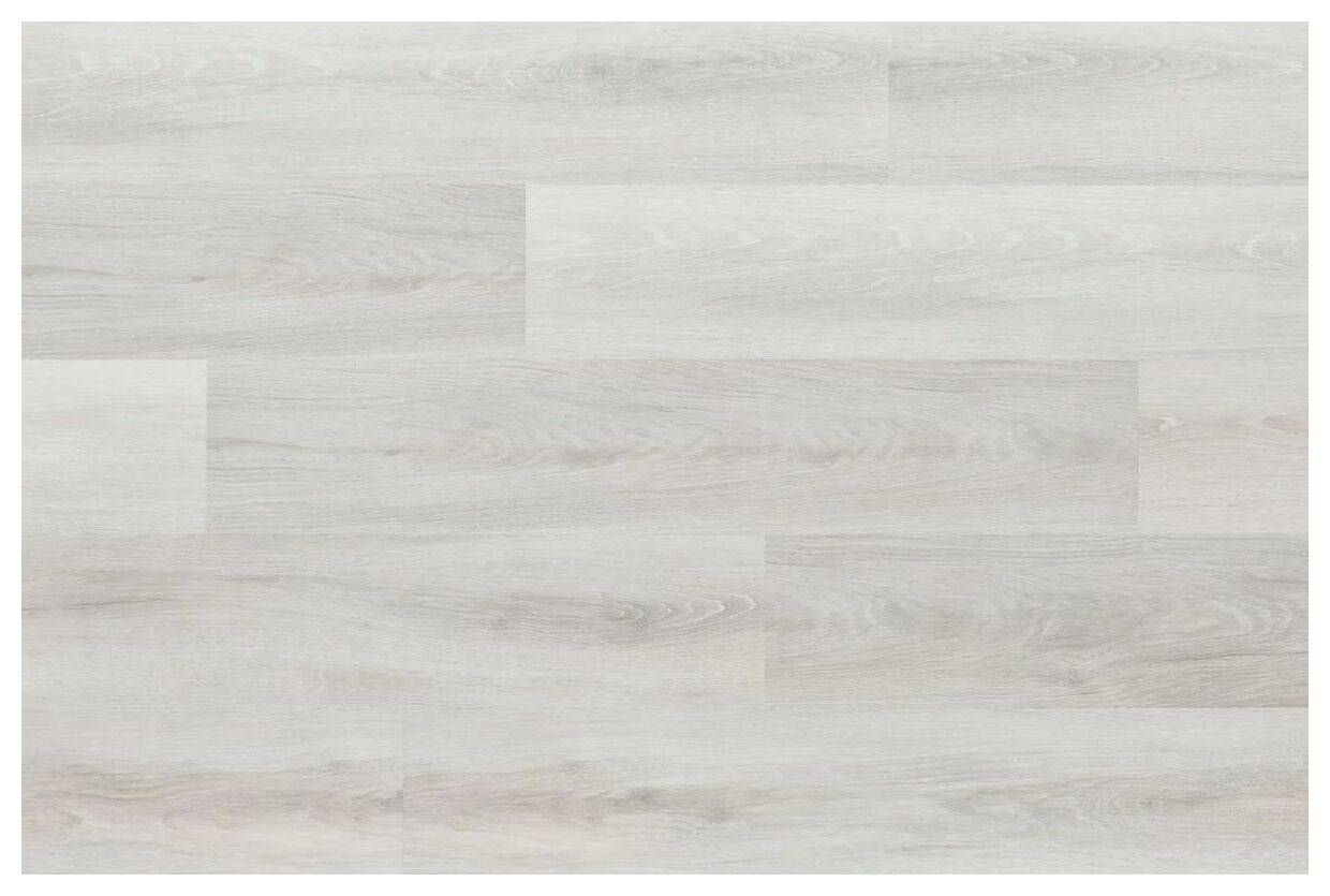 Jasny panel Woodric Acoustic Dab Whitecreek z widocznym słojowaniem i matowym wykończeniem