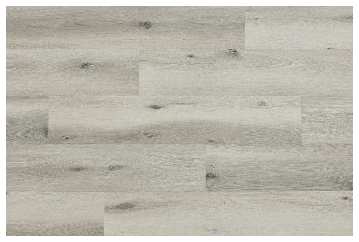 Jasny panel winylowy Woodric EIR Acoustic Dab Baltimore z matowym wykończeniem i usłojeniem