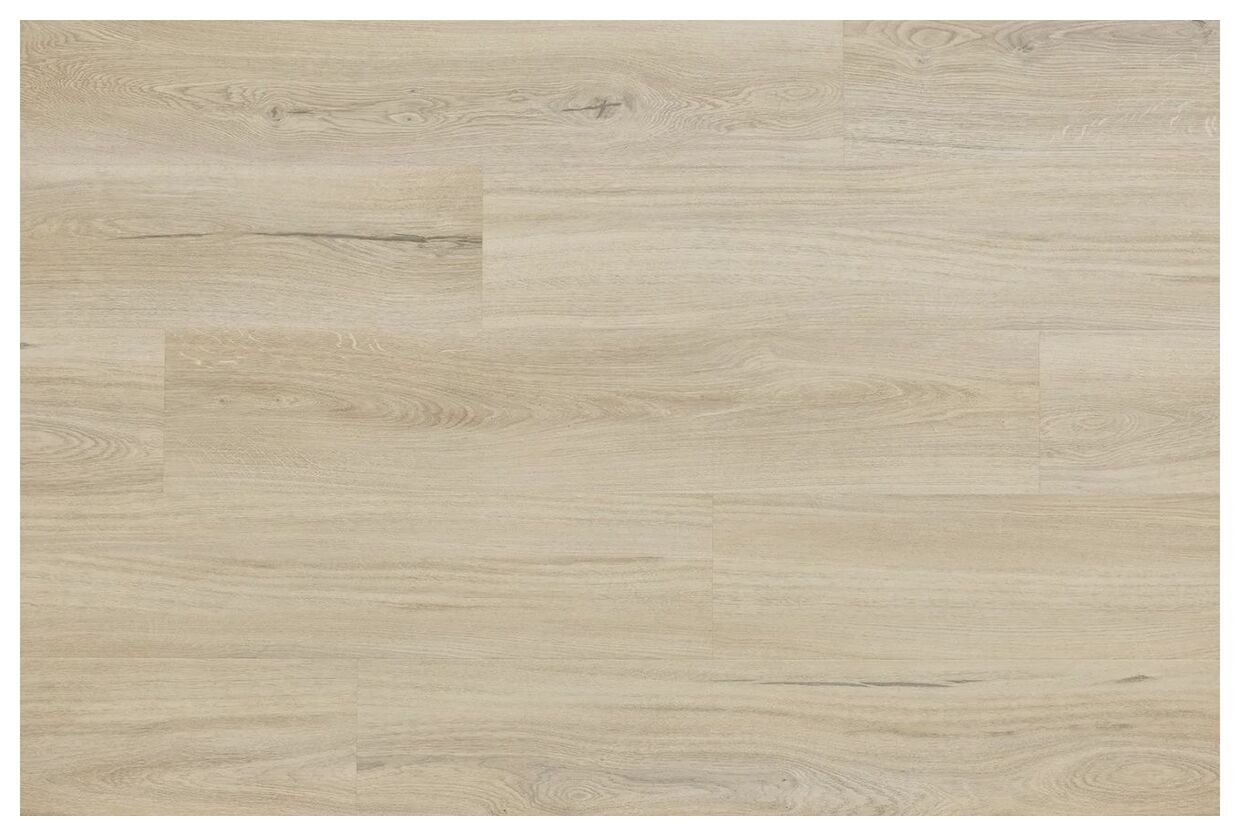 Jasny panel winylowy Woodric EIR Acoustic Dab Brandon z delikatnymi słojami i naturalnym wzorem