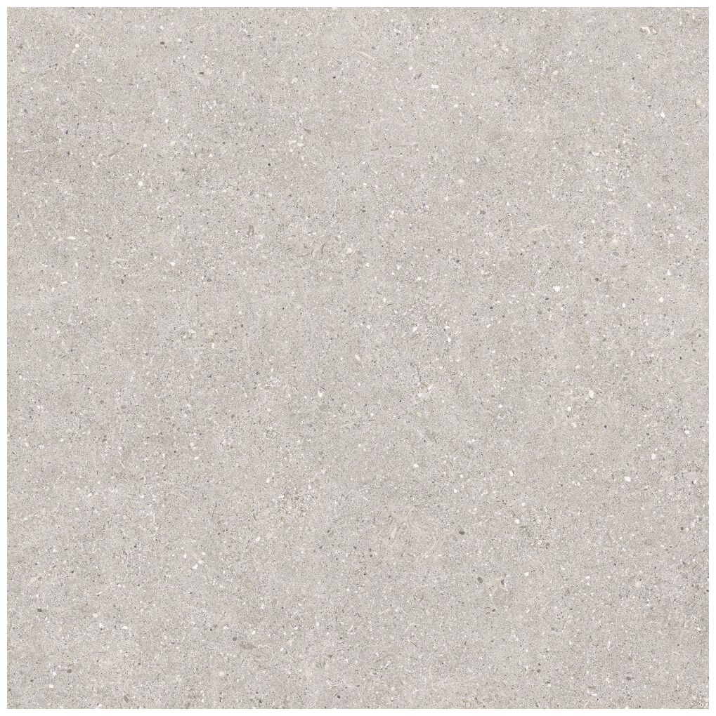 baldocer brunswich ceniza gres rektyfikowany 80x80 - zdjęcie główne