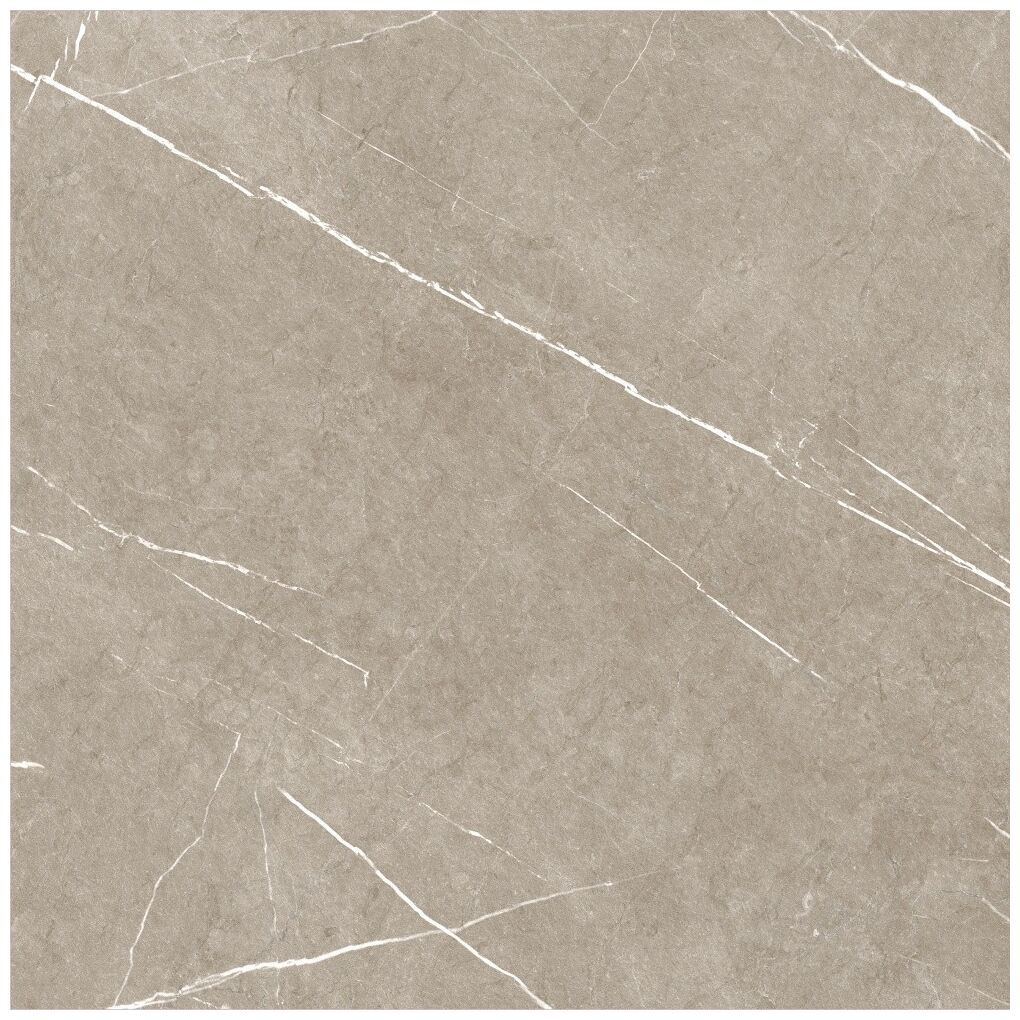baldocer eternal taupe natural gres rektyfikowany 60x60 - zdjęcie główne