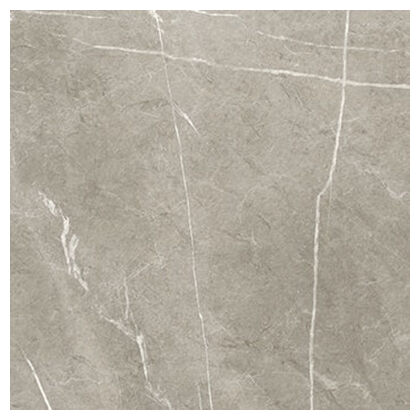 baldocer eternal taupe natural gres rektyfikowany 60x60 - zdjęcie nr: 2